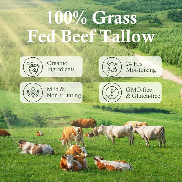 Whipped Grass-Fed Beef Tallow & Honey Cream - Image 4